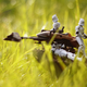 Illustration for article titled Cool Macroshots Show The Dramatic Adventures of emStar Wars/em Figurines